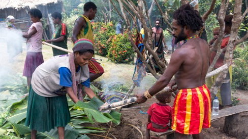 My Lesson from the Jungle