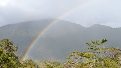 The Rainbow