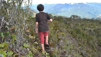 Unexplored Wilderness