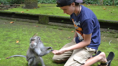 Visiting a Monkey Forest in Bali