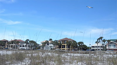 We’re Back in the States with a New Vlog: The Wild Way!