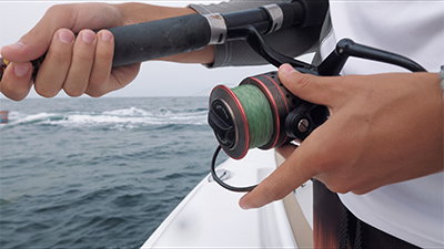 Fishing for Small Fries (Vlog Episode 9)