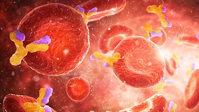 Wise Blood: Antibodies, the Principle of Overcoming in Disease (Part 2)