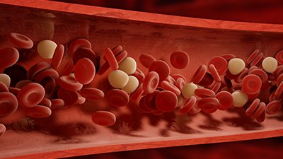 Wise Blood: The Principle of Overcoming in Disease and Immunity (Part 1)