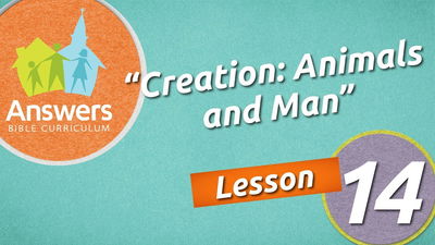 Creation: Animals and Man | Answers Bible Curriculum: Lesson 14