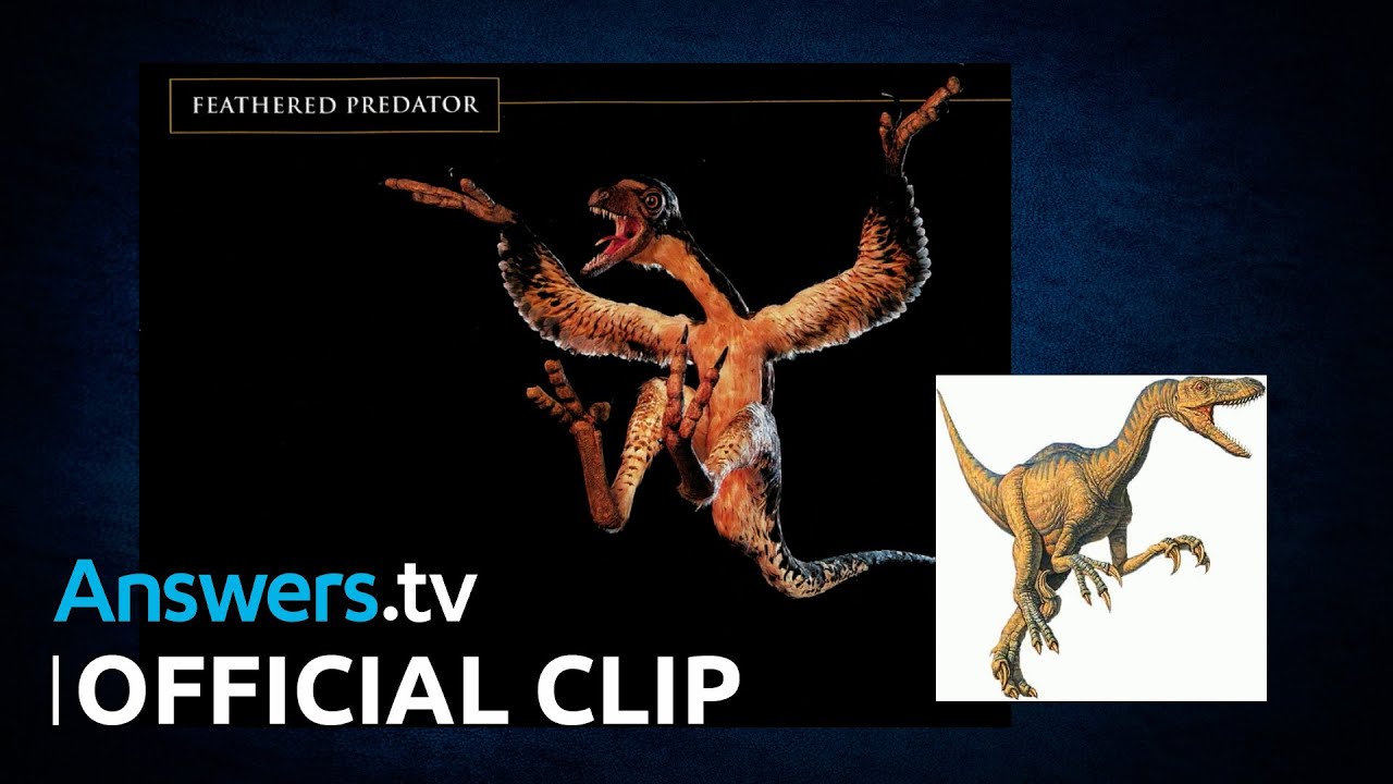 Defending a Young Earth / Official Clip / Dinosaurs, Evolution, and the Bible Part 1