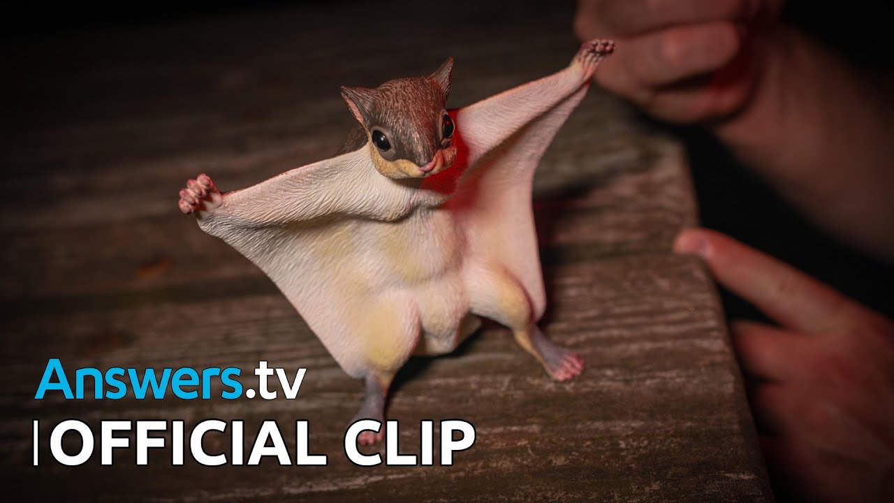 Summer Nights / Official Clip / Hike & Seek