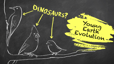 Why Birds Are Not Dinosaurs (And Why It Matters)
