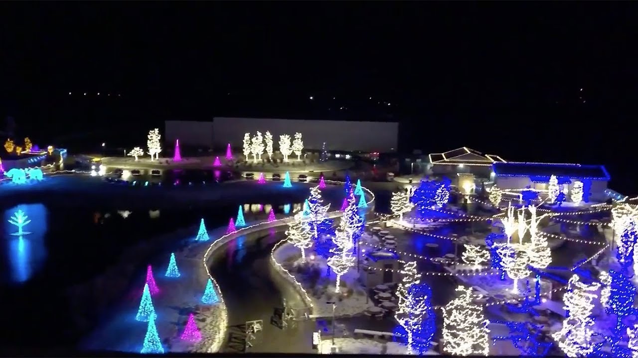 ChristmasTime at the Ark Lights