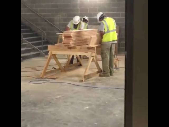 Update from the Life-Size Ark