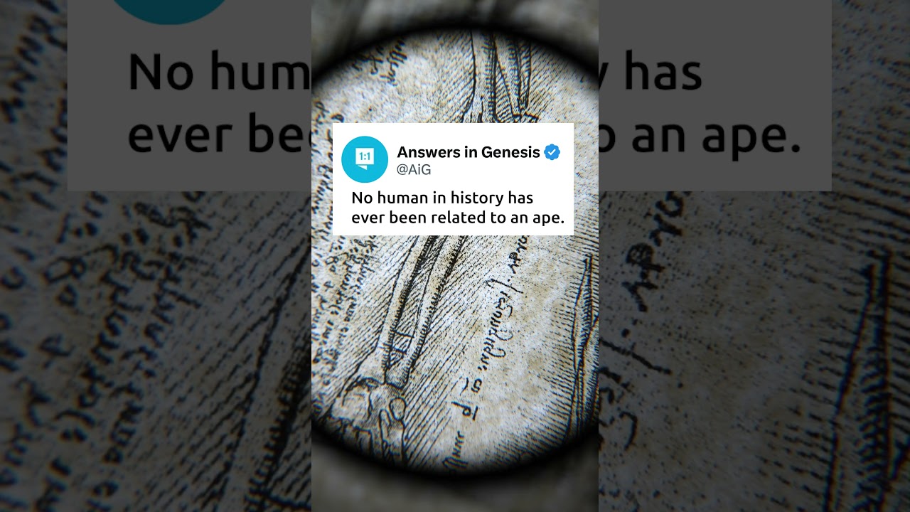 Humans and Apes Don’t Have a Common Ancestor