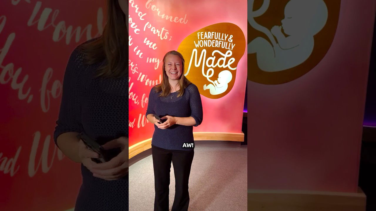 Watch a Baby’s Movements in the Womb