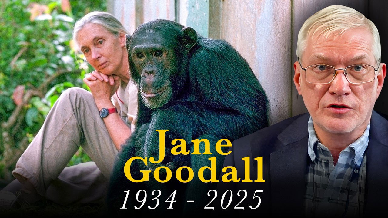 Do All Apes Go to Heaven? Did Jane Goodall Mislead a Generation?
