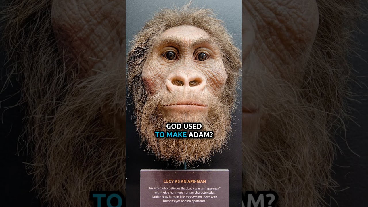 Adam from an Ape-Man?