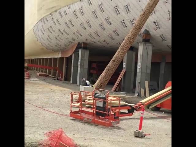 Update from the Stern of Noah's Ark