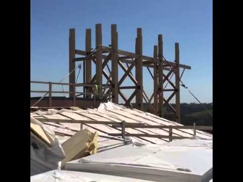 Update from the Top of the Ark