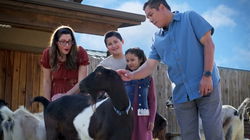 Step Into History and Watch It Come to Life at the Creation Museum