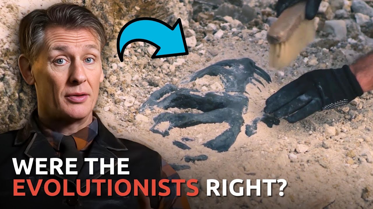 Why Haven’t We Found Dinosaur and Human Fossils Together?