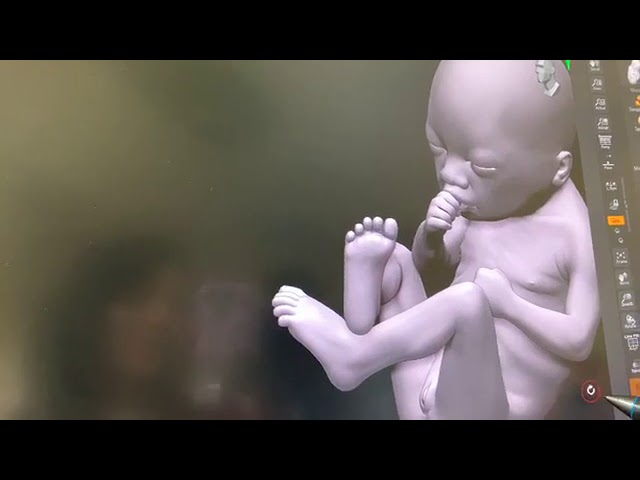 Behind the Scenes: Fearfully and Wonderfully Made Exhibit