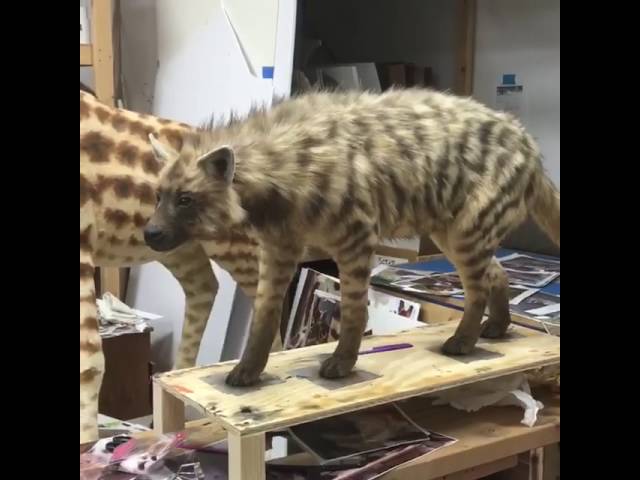 Update from Ark Design Studios