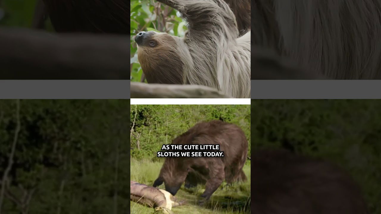 Giants of the Ice Age