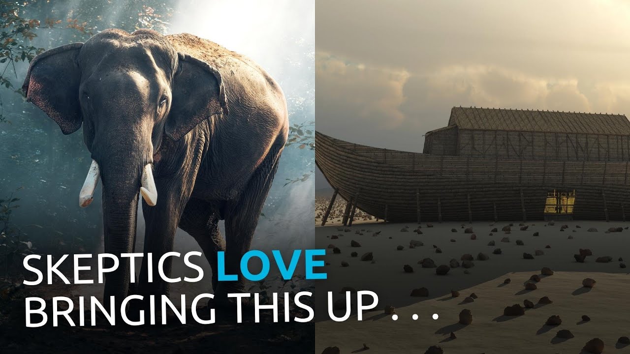 How Did Noah Find All the Animals for the Ark?