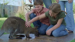 Give Your Kids the Answers and the Adventure of a Lifetime