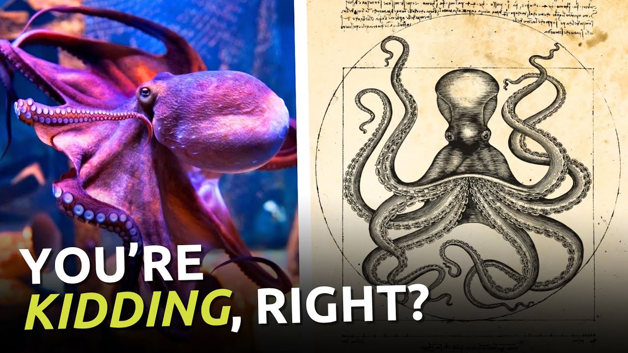 Evolutionists Predict Octopuses. . . Will Rule the World?