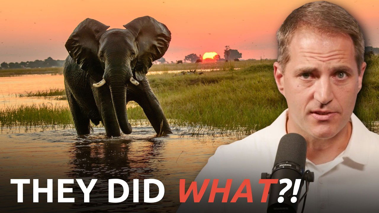 Elephants Just STUNNED Scientists, but We’re Not Surprised