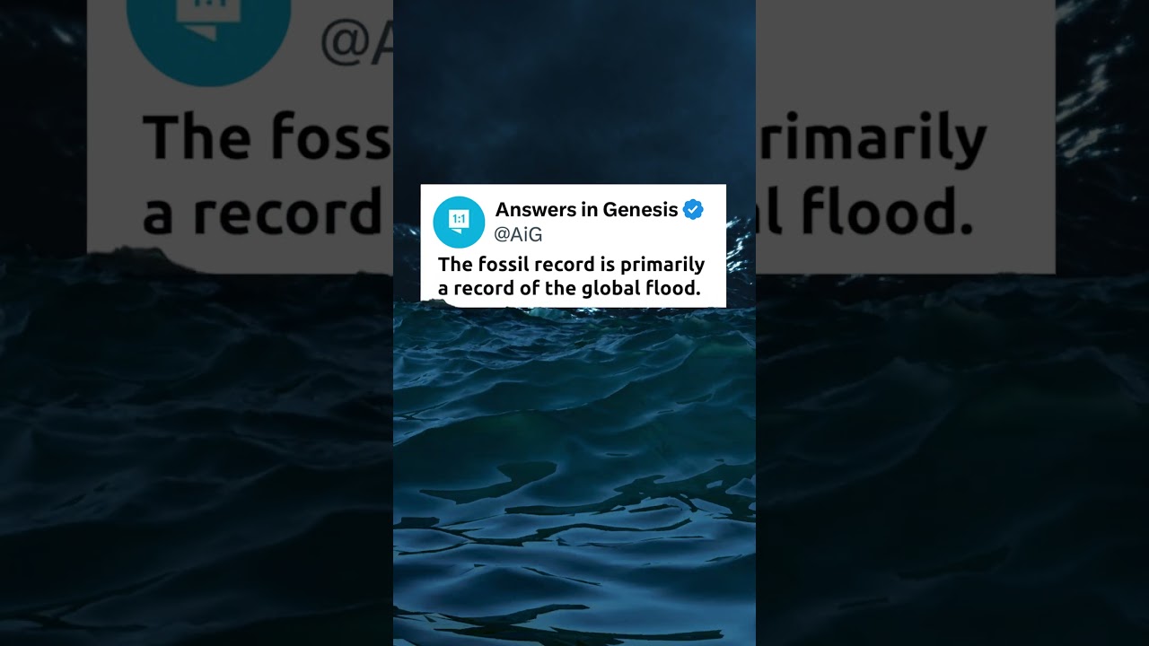 The Global Flood Was the Perfect Time for Fossilization