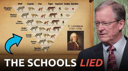 This Video SHREDS Evolution to Pieces Using SCIENCE