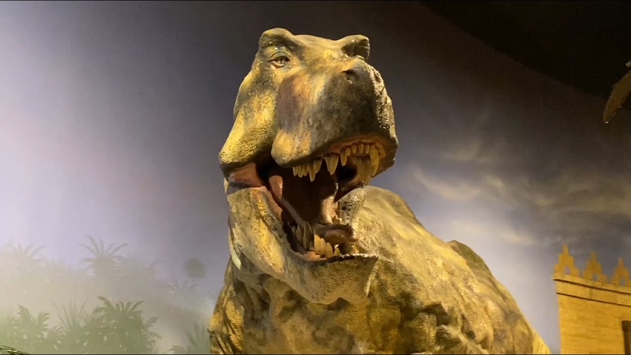 How Buddy Sculpted Dinosaurs for the Creation Museum