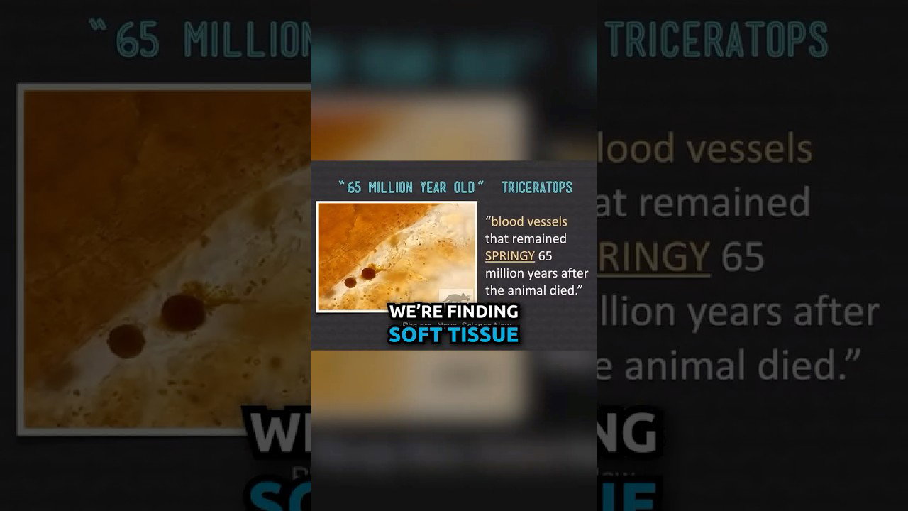 Soft Tissue in Dinosaur Bones