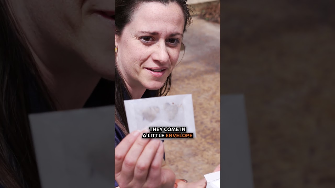 Unboxing Butterflies