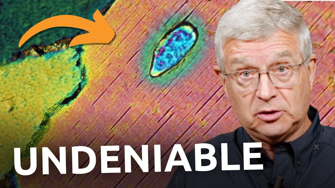 You CANNOT Deny That the Earth Is Young Once You See This