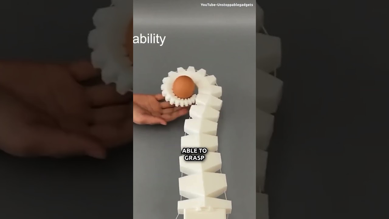 Eight Arms or Robot Arms?