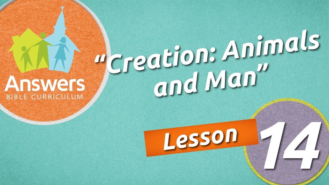 Creation: Animals and Man | Answers Bible Curriculum: Lesson 14