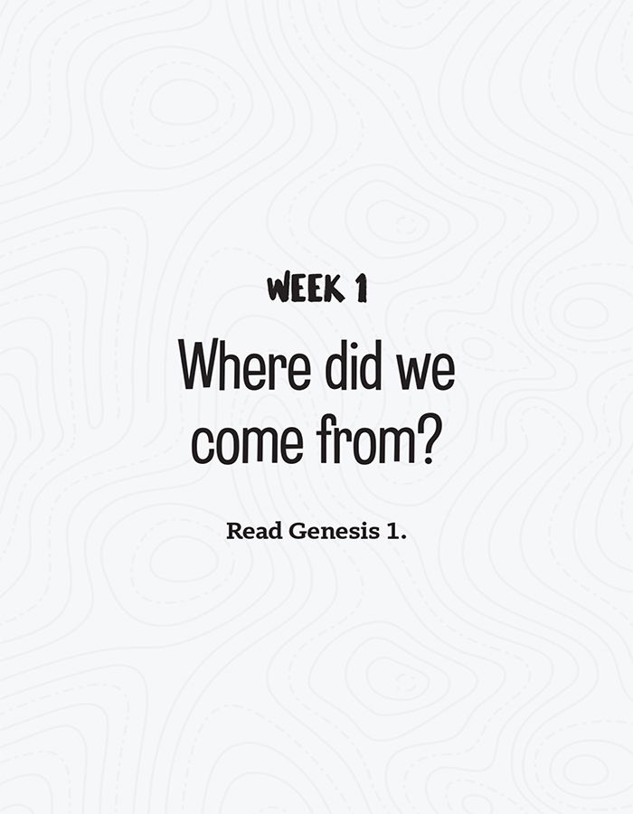 Where Did We Come From?