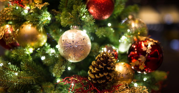 What Will Not Change in 2026