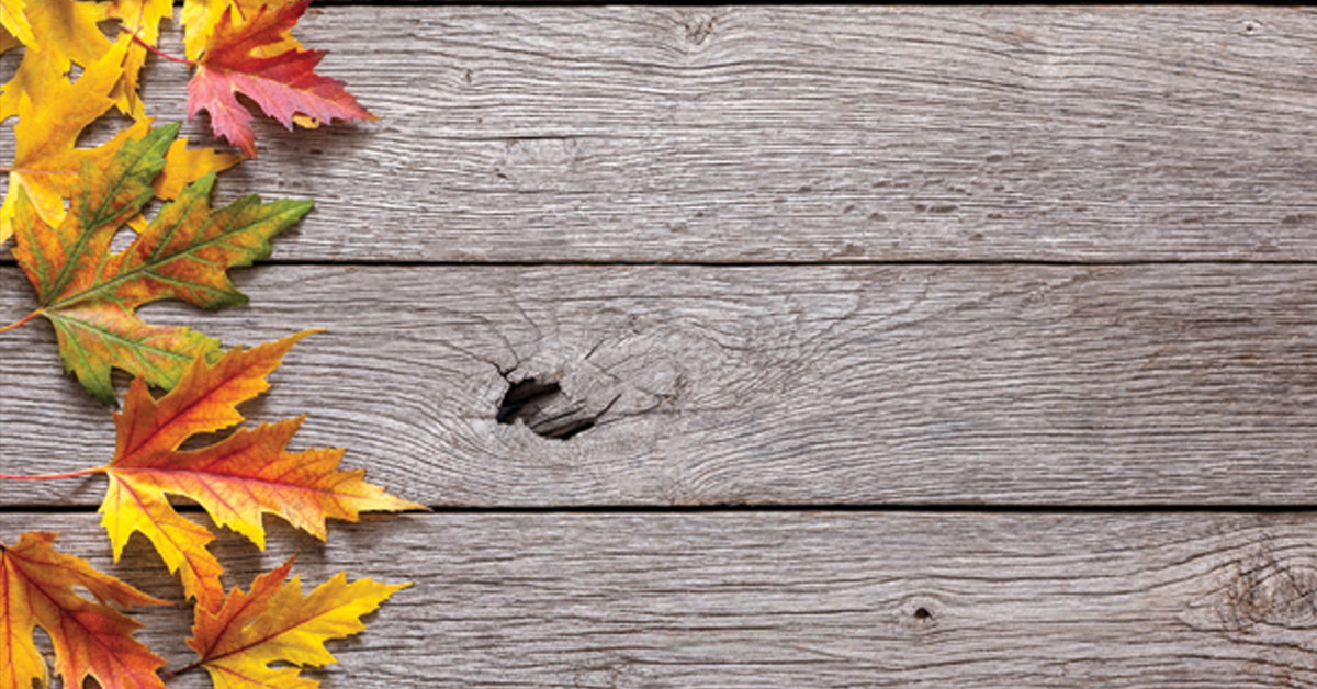 Enjoy Free Answers Bible Curriculum Thanksgiving Lessons Answers In enjoy-free-answers-bible-curriculum-thanksgiving-lessons-answers-in