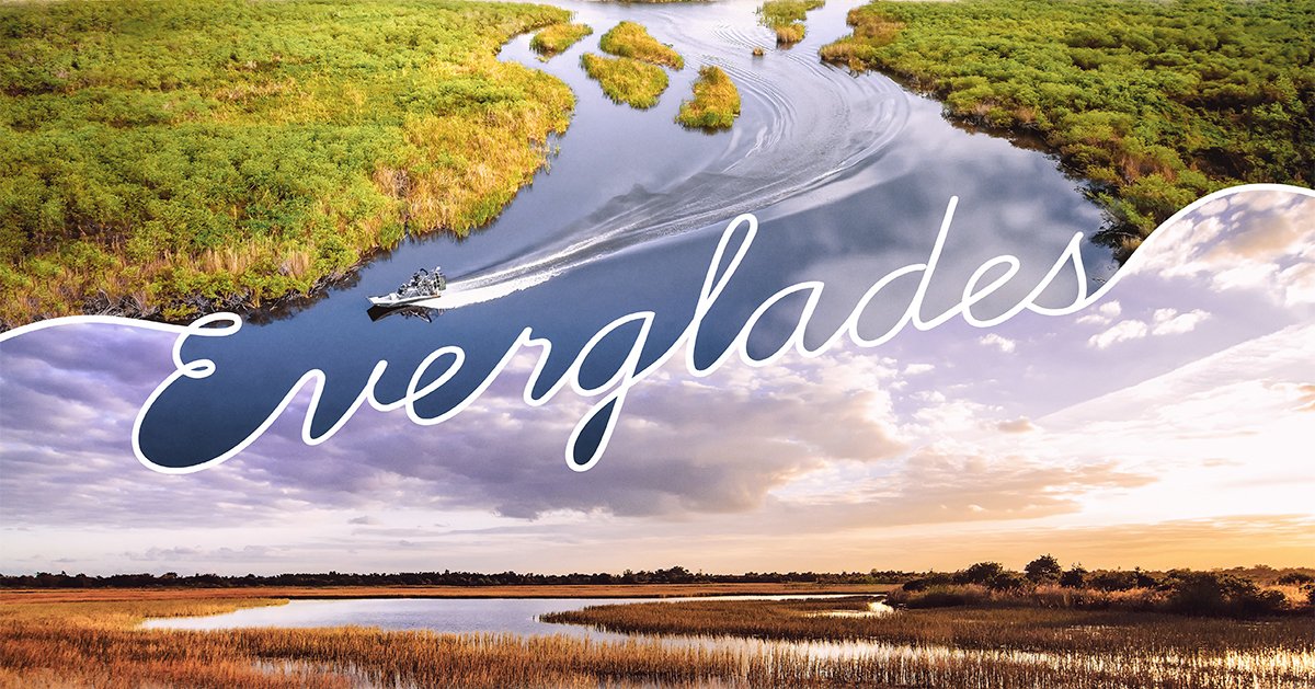 Everglades: An Ever-Changing Environment | Answers in Genesis