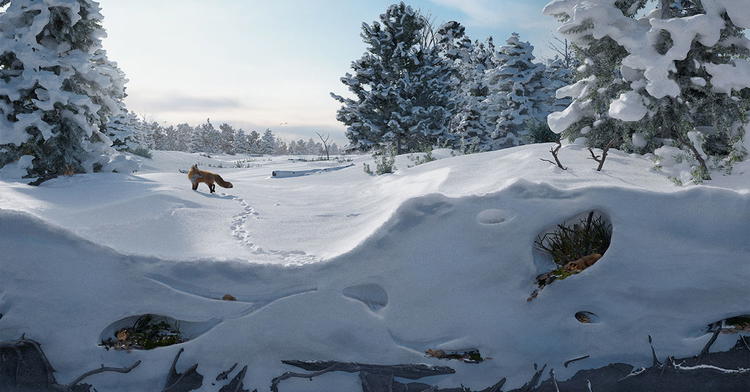 Sanctuary in the Snow