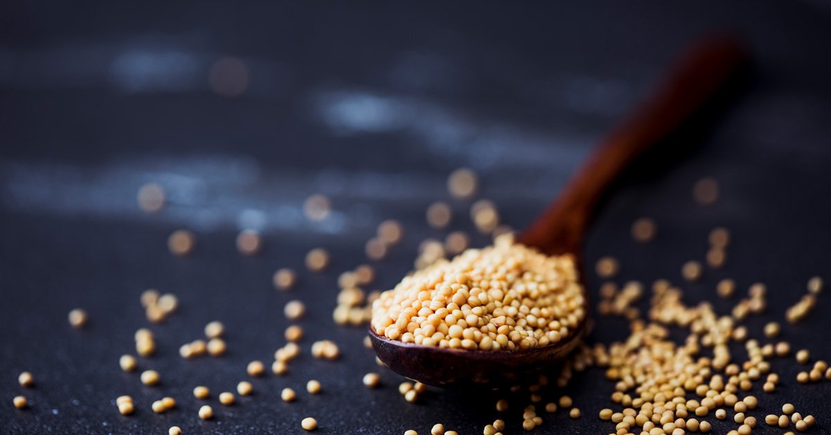 Are Mustard Seeds the Smallest or Was Jesus Wrong