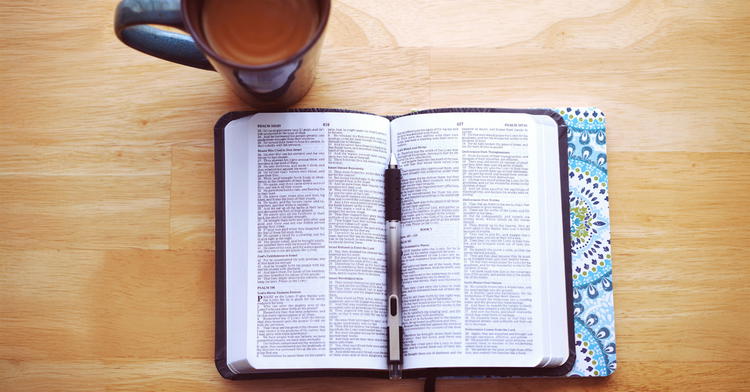 What Is the Bible Really?