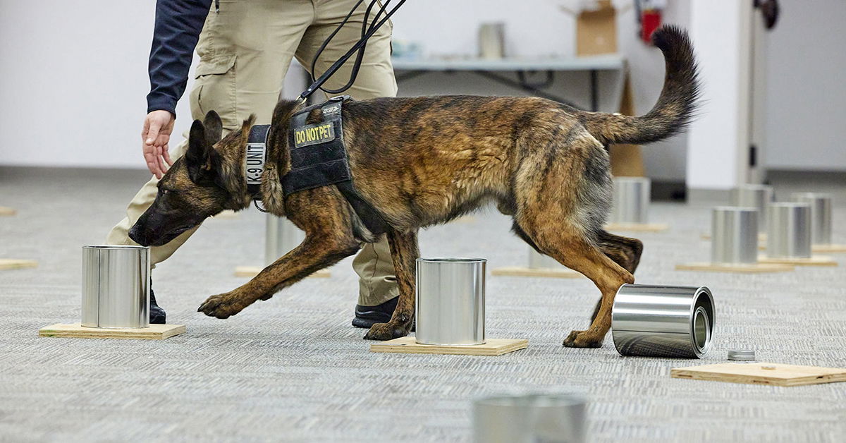 Canine Conference Coming to the Ark Encounter, January 69, 2024