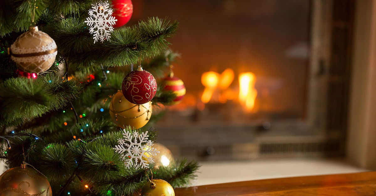 Do Christmas Trees Have Pagan Roots? Answers in Genesis