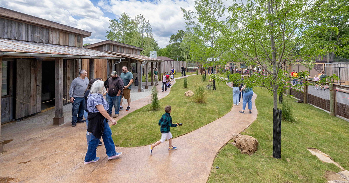 Wallaby Walkabout Open for Creation Museum’s 18th Anniversary | Answers ...