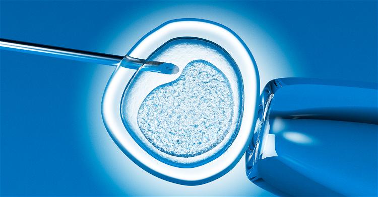 IVF Modernizes Ancient Eugenic Practices of Selective Breeding