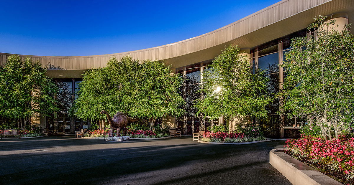 creation museum virtual tour