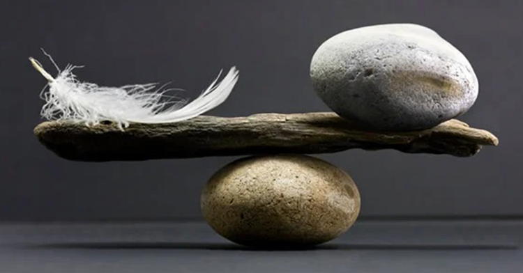 Did Intelligence Evolve “At Least Twice”?